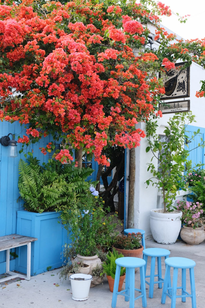 Mandolin Aegean Bistro, Miami