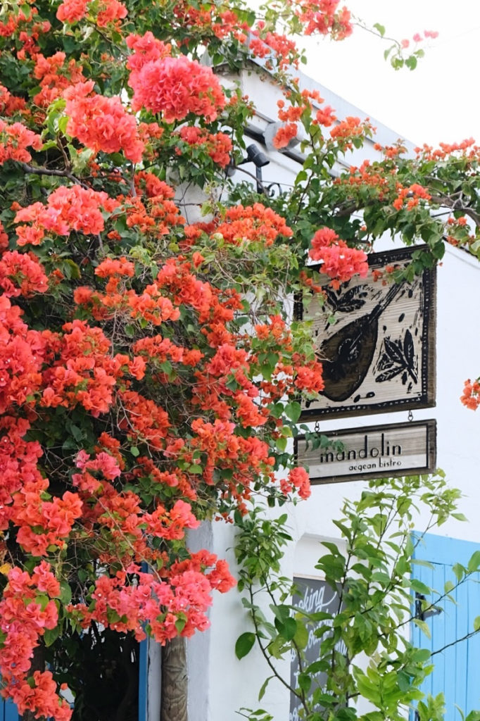 Mandolin Aegean Bistro, Miami