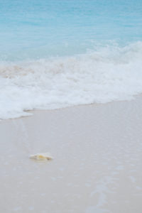 Playa y mar en Providenciales, Islas Turcas y Caicos