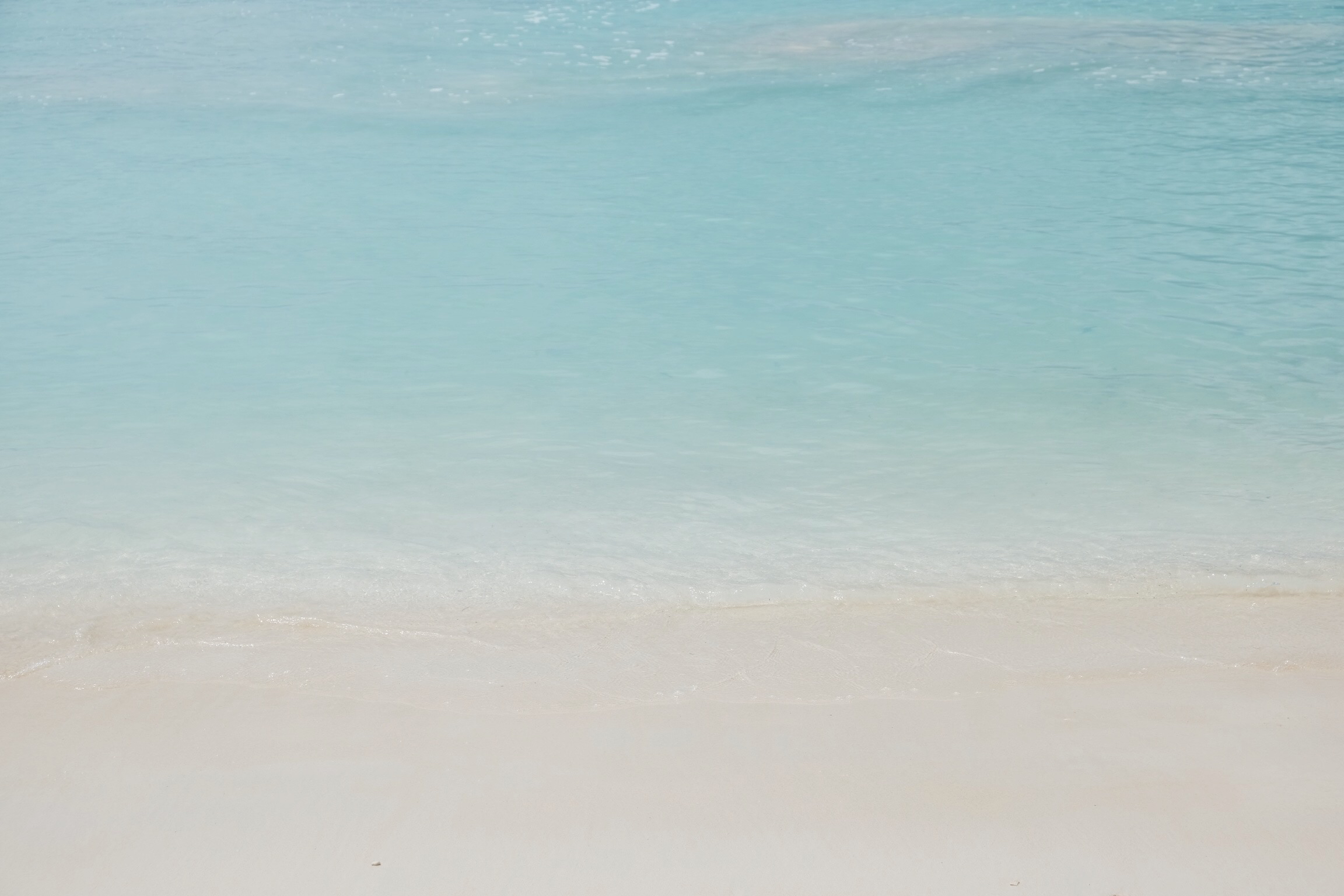 Visitando Caicos del Norte y Central Lemon Guide