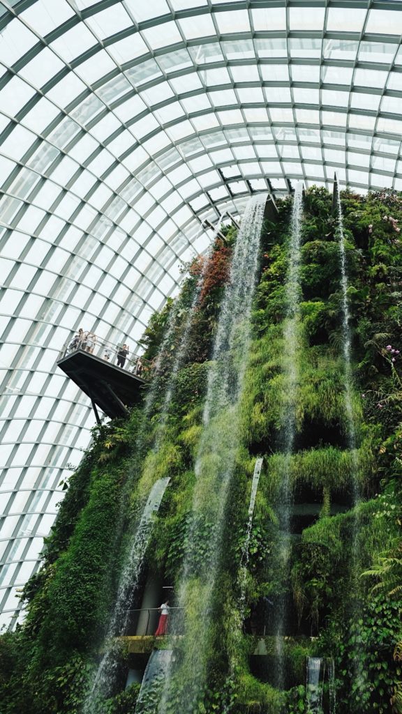 Cascada de Cloud Forest, Singapur