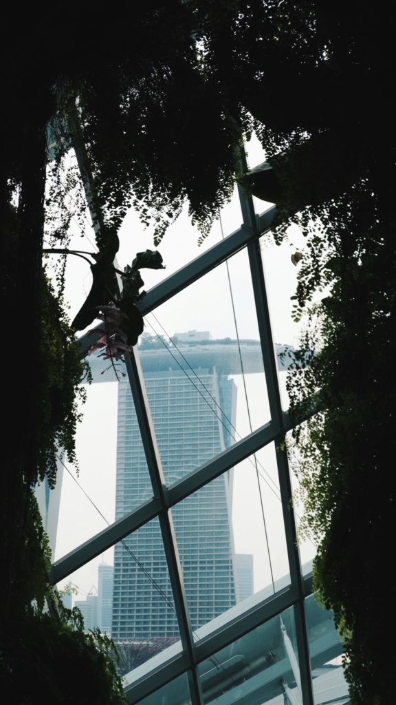 Marina Bay Sands desde Cloud Forest, Singapur