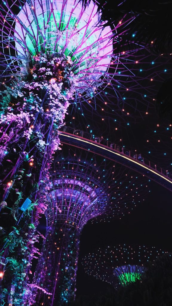 Noche en Gardens by the Bay en Singapur