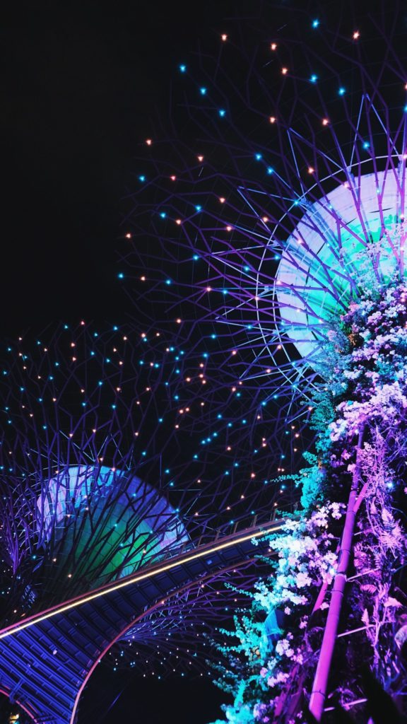 Noche en Gardens by the Bay (Singapur)