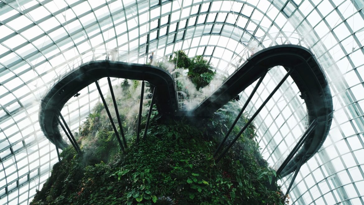 Interior Cloud Forest en Singapur