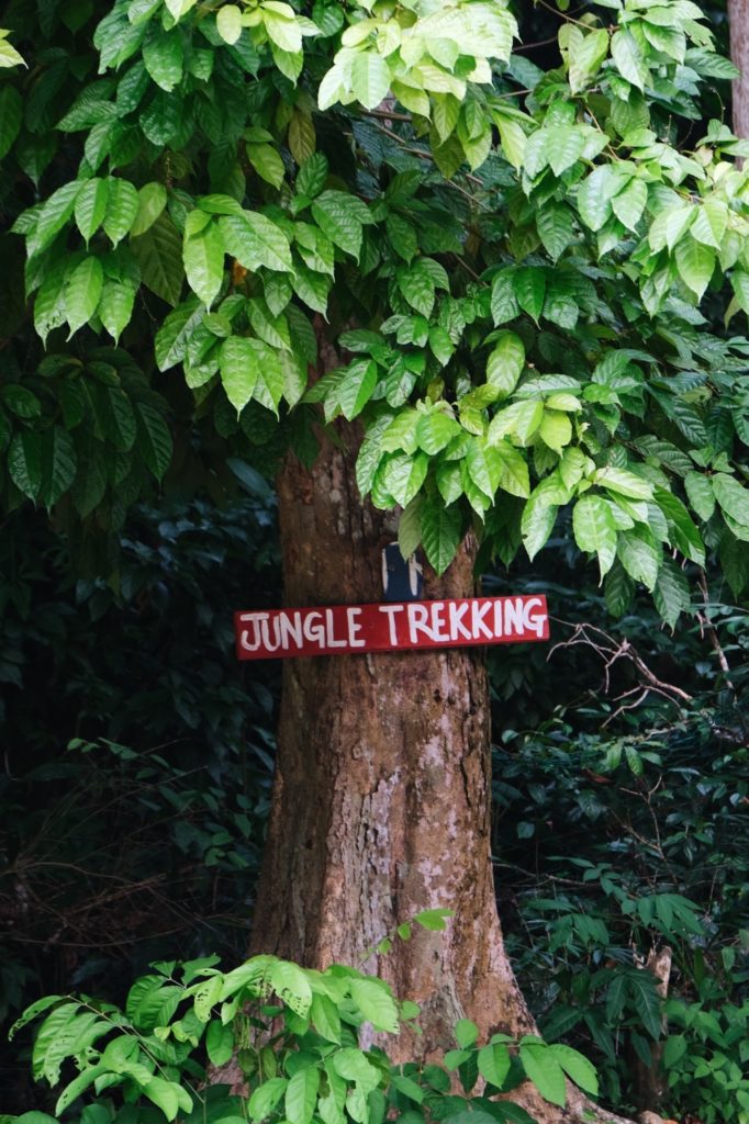 Jungle Trekking en Islas Perhentian