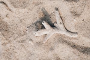 viajar a las Islas Perhentian