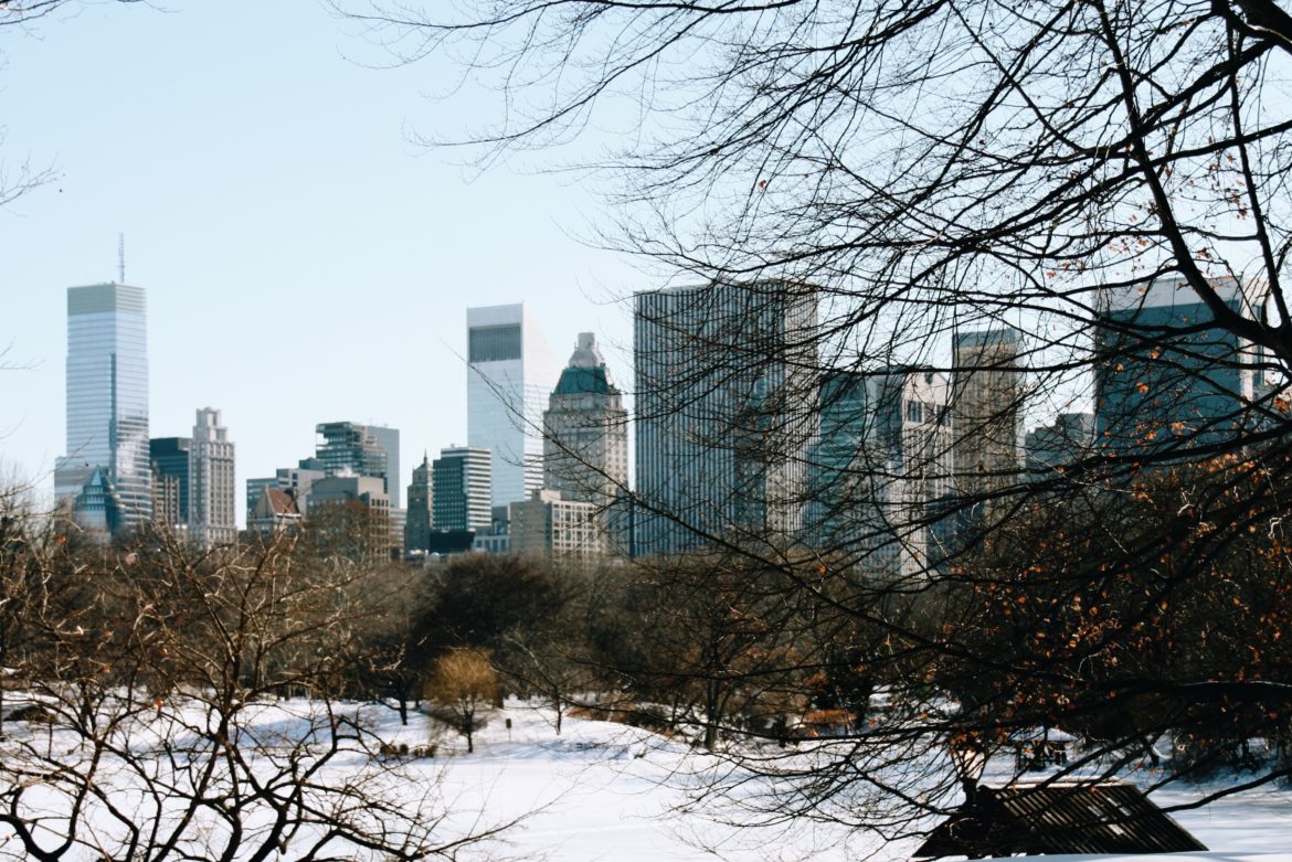 Central Park en Nueva York