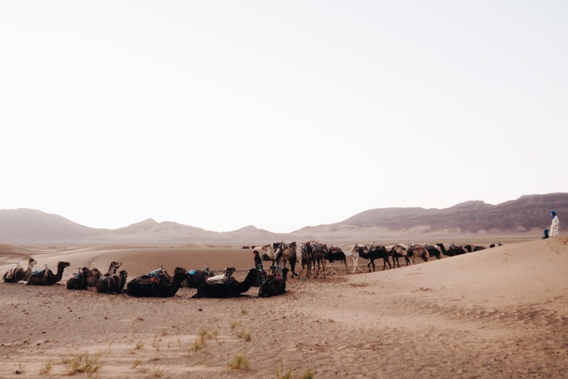 Desierto de Zagora, Marrakech