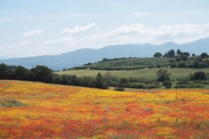 Mejores excursiones de un día desde Roma